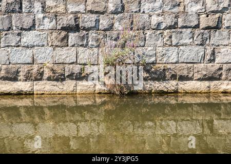 Alte Steinmauer mit Wasserspiegelung im Kanal Stockfoto