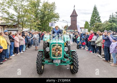 Drachhausen, Deutschland. September 2024. Eine Frau fährt einen historischen Traktor bei der Parade zum 19. Brandenburger Dorf- und Erntefest. Vermerk: Frank Hammerschmidt/dpa/Alamy Live News Stockfoto