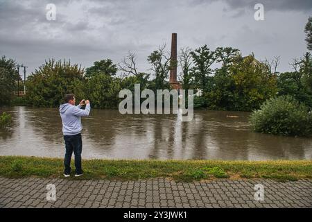 Zidlochovice, Tschechische Republik. September 2024. Überschwemmung des Flusses Svratka, dessen Höhe in Zidlochovice bei Brünn, Tschechische Republik, am 14. September 2024 steigt. Quelle: Patrik Uhlir/CTK Photo/Alamy Live News Stockfoto