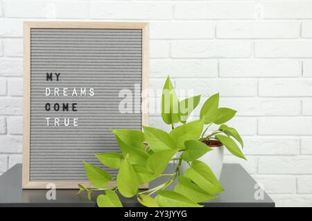 Brieftafel mit dem Spruch My Dreams Come True und Pflanzen Sie auf einem Beistelltisch in der Nähe der weißen Ziegelwand Stockfoto