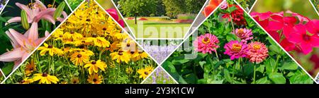 Farbenfrohe Collage aus Blumen und Garten. Collage. Breites Foto. Stockfoto