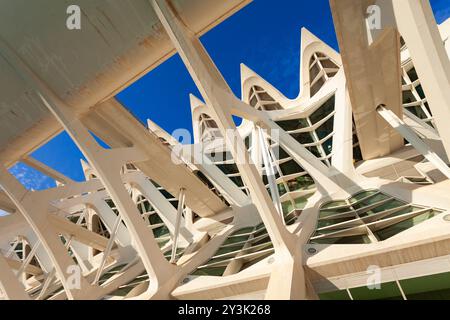 Valencia, Spanien - 15. Oktober 2021: Das Museu de les Ciencies Principe Felipe oder das Wissenschaftsmuseum Principe Felipe ist ein Wissenschaftsmuseum in Valencia, Spanien Stockfoto