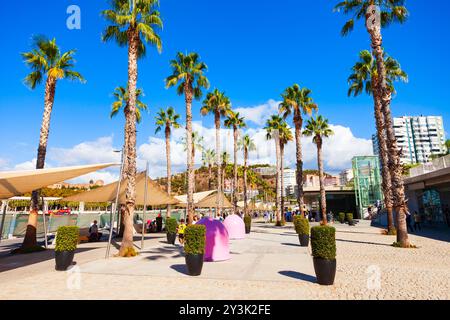Malaga, Spanien - 23. Oktober 2021: Hauptstadtpromenade in Malaga. Malaga ist eine Stadt in der andalusischen Gemeinde in Spanien Stockfoto