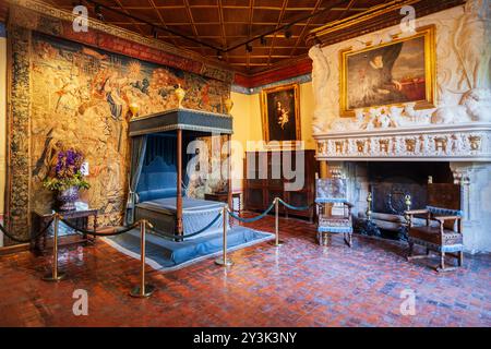 CHENONCEAU, Frankreich - 14. SEPTEMBER 2018: Chateau de Chenonceau Innenraum, französischen Schloss in der Nähe von Chenonceaux Dorf, Tal der Loire in Frankreich Stockfoto