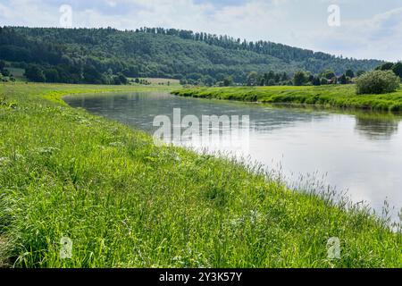 Weser bei Gewissenruh, Wesertal, Oberweser, Weserbergland, Hessen, Deutschland Stockfoto