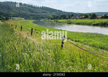 Weser bei Wahmbeck, Weserbergland, Niedersachsen, Deutschland Stockfoto