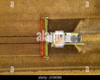 Luftaufnahmen eines Mähdreschers auf dem Feld in der Nähe von Rosyth in Fife., Schottland. Stockfoto
