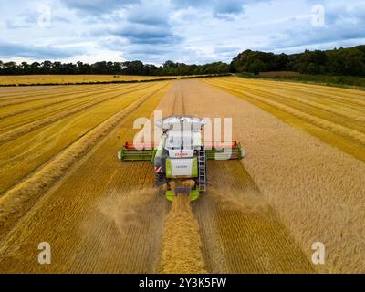 Luftaufnahmen eines Mähdreschers auf dem Feld in der Nähe von Rosyth in Fife., Schottland. Stockfoto