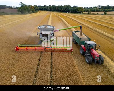 Luftaufnahmen eines Mähdreschers auf dem Feld in der Nähe von Rosyth in Fife., Schottland. Stockfoto