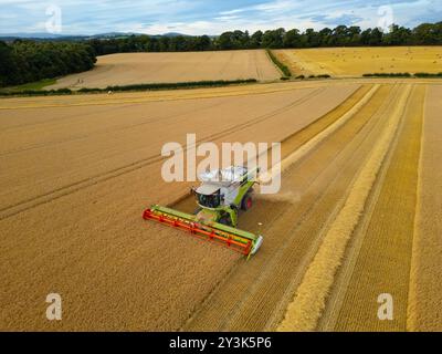 Luftaufnahmen eines Mähdreschers auf dem Feld in der Nähe von Rosyth in Fife., Schottland. Stockfoto