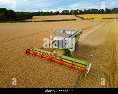 Luftaufnahmen eines Mähdreschers auf dem Feld in der Nähe von Rosyth in Fife., Schottland. Stockfoto