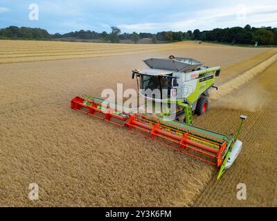 Luftaufnahmen eines Mähdreschers auf dem Feld in der Nähe von Rosyth in Fife., Schottland. Stockfoto