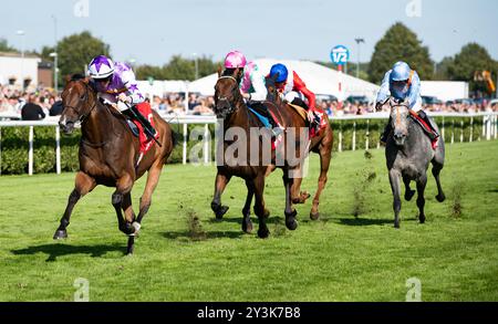 Doncaster, Großbritannien, Samstag, den 14. September 2024; Kinross und Jockey Rossa Ryan gewinnen die Betfred Park Stakes für Trainer Ralph Beckett und Besitzer Mark Chan. Credit JTW equine Images / Alamy. Stockfoto