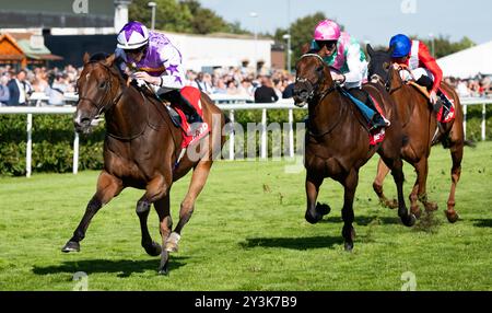 Doncaster, Großbritannien, Samstag, den 14. September 2024; Kinross und Jockey Rossa Ryan gewinnen die Betfred Park Stakes für Trainer Ralph Beckett und Besitzer Mark Chan. Credit JTW equine Images / Alamy. Stockfoto