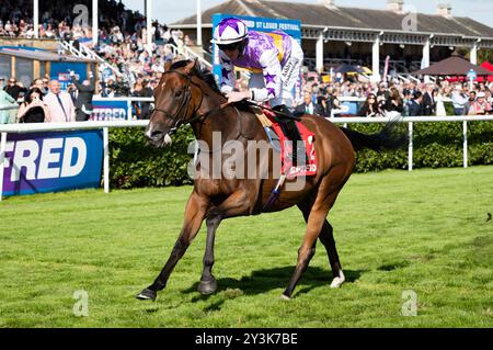 Doncaster, Großbritannien, Samstag, den 14. September 2024; Kinross und Jockey Rossa Ryan gewinnen die Betfred Park Stakes für Trainer Ralph Beckett und Besitzer Mark Chan. Credit JTW equine Images / Alamy. Stockfoto