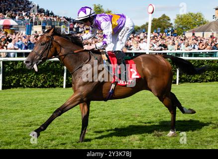 Doncaster, Großbritannien, Samstag, den 14. September 2024; Kinross und Jockey Rossa Ryan gewinnen die Betfred Park Stakes für Trainer Ralph Beckett und Besitzer Mark Chan. Credit JTW equine Images / Alamy. Stockfoto