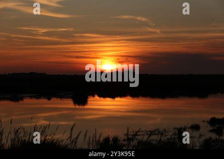 Ein dramatischer Sonnenuntergang spiegelt sich in einem Sumpfgebiet auf der deutschen Insel Föhr. Stockfoto