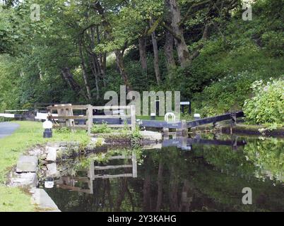 Alte hölzerne Schleusentore mit Bäumen und Blumen, die sich im Wasser spiegeln, mit Ankerpfosten und Zäunen am rochdale-Kanal bei der Rawden-Mühle in der Nähe von Erringden Stockfoto