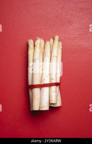 Bund weißer Spargel mit einer Schnur gebunden. Oben mit einem Bündel weißen deutschen weißen Spargel Stockfoto