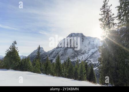 Winterlandschaft mit Sonnenschein über den verschneiten österreichischen Alpen, dem grünen Wald und dem weißen Tal, in Ehrwald, Österreich, im Dezember, Europa Stockfoto