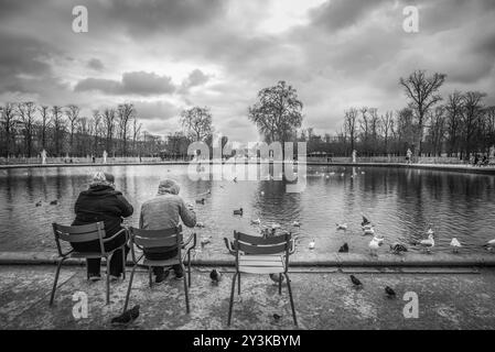 Schwarz-weiß-Bild im Louvre-Garten aus Paris, Frankreich, wo ein Pariser Paar eine Vielzahl von Stadtvögeln, Tauben, Enten und Möwen ernährt, EUR Stockfoto