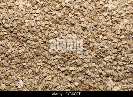 Vollbild-Hintergrund von Hafergetreide. Aussicht über dem Hotel mit einem Haufen Müsli Stockfoto