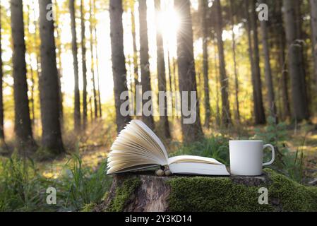 Lesen Sie ein Outdoor-Themenbild mit einem offenen Buch und einer Tasse Kaffee auf einer Baumwurzel, und die Sonne scheint durch die Bäume im Hintergrund, in Deutschland Stockfoto