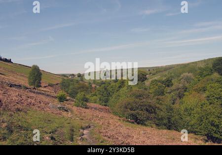 Ein Blick auf den grünen Frühlingswald in den hardcastle Felswänden westlich von yorkshire vom Moorland oben mit sonnendurchflutetem blauem Himmel Stockfoto