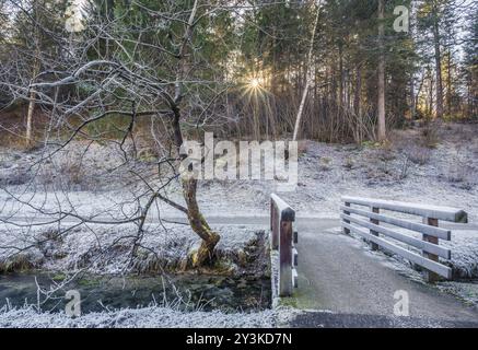 Bild mit einer Holzbrücke über einen Gebirgsbach, einer gefrorenen Rasen Wiese, nahe dem Wald Winter Stockfoto