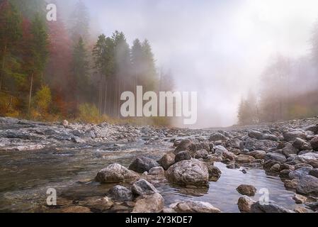 Wunderschöne Herbstlandschaft mit einem Fluss, der durch Steine fließt, umgeben von Wäldern in Herbstfarben und umgeben von einem mystischen Nebel Stockfoto