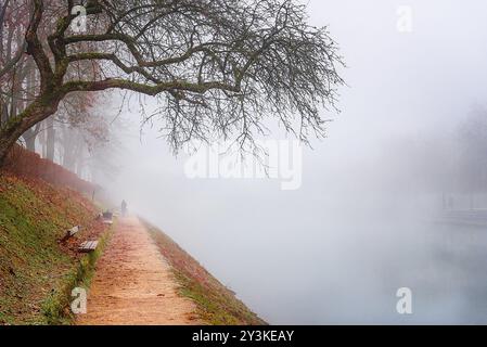 Repräsentatives Bild für einen kalten Herbsttag mit leeren Bäumen und gefallenen Blättern, einer Gasse entlang des Flusses Ljubljanica, alle umgeben von Nebel Stockfoto