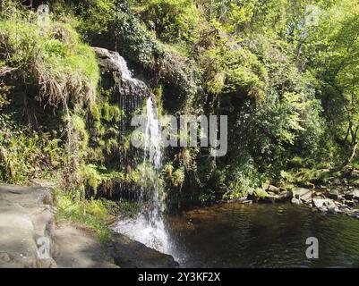 Lumb Hole fällt einen Wasserfall im Wald am Crimsworth Decan nahe dem Pecket Well in calderdale im Westen yorkshires Stockfoto