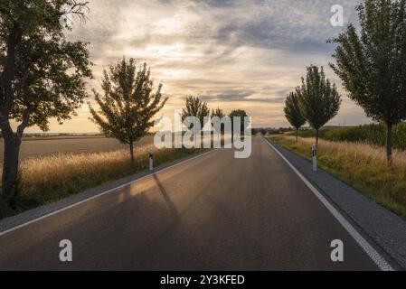 Landbild mit einem wunderschönen Sonnenuntergang über einer geraden endlosen Straße, umgeben von Bäumen und landwirtschaftlichen Feldern, in der Nähe von Schwabisch Hall, Deutschland, Stockfoto