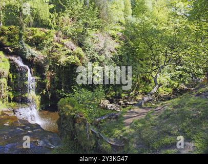 Lumb Hole fällt einen Wasserfall im Wald am Crimsworth Decan nahe dem Pecket Well in calderdale im Westen yorkshires Stockfoto