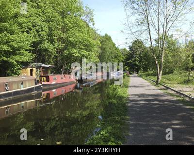 Alte Kanalboote liegen auf dem rochdale-Kanal in der Nähe der hebden-Brücke, umgeben von Bäumen bei sommerlicher Sonneneinstrahlung Stockfoto