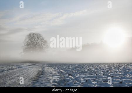 Traumhafte Winterlandschaft mit schneebedeckter Landstraße und Feld mit kaltem Nebel, bei Sonnenaufgang, an einem Februarmorgen, in der Nähe von Schwabisch Hall, Deutschland, E Stockfoto