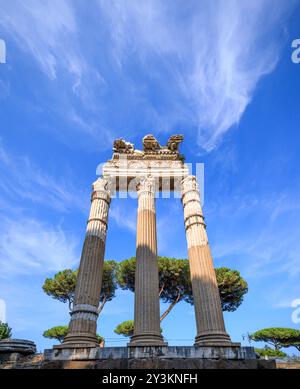 Tempel der Venus Genetrix im Forum von Cäsar, Rom. Stockfoto