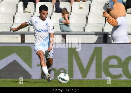 Brügge, Belgien. September 2024. Ein Fußballspiel zwischen Cercle Brugge KSV und KRC Genk Samstag, den 14. September 2024 in Brügge, am 7. Tag der Saison 2024-2025 der ersten Liga der "Jupiler Pro League" der belgischen Meisterschaft. BELGA FOTO JILL DELSAUX Credit: Belga News Agency/Alamy Live News Stockfoto