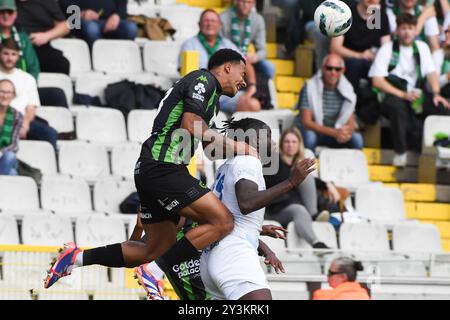 Brügge, Belgien. September 2024. Ein Fußballspiel zwischen Cercle Brugge KSV und KRC Genk Samstag, den 14. September 2024 in Brügge, am 7. Tag der Saison 2024-2025 der ersten Liga der "Jupiler Pro League" der belgischen Meisterschaft. BELGA FOTO JILL DELSAUX Credit: Belga News Agency/Alamy Live News Stockfoto