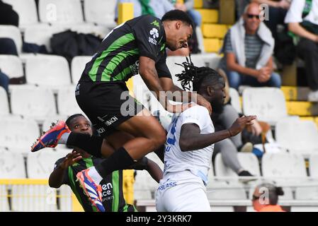 Brügge, Belgien. September 2024. Ein Fußballspiel zwischen Cercle Brugge KSV und KRC Genk Samstag, den 14. September 2024 in Brügge, am 7. Tag der Saison 2024-2025 der ersten Liga der "Jupiler Pro League" der belgischen Meisterschaft. BELGA FOTO JILL DELSAUX Credit: Belga News Agency/Alamy Live News Stockfoto