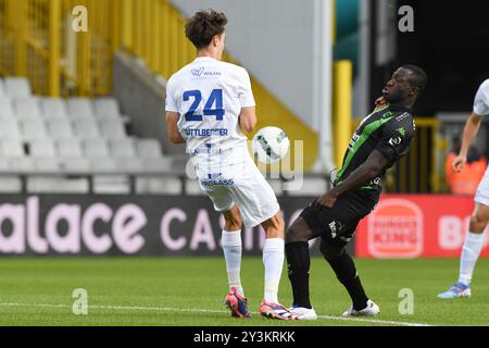 Brügge, Belgien. September 2024. Ein Fußballspiel zwischen Cercle Brugge KSV und KRC Genk Samstag, den 14. September 2024 in Brügge, am 7. Tag der Saison 2024-2025 der ersten Liga der "Jupiler Pro League" der belgischen Meisterschaft. BELGA FOTO JILL DELSAUX Credit: Belga News Agency/Alamy Live News Stockfoto