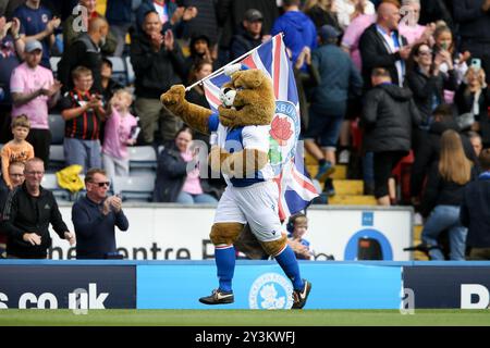 Blackburn, Großbritannien. September 2024. Das Blackburn Rovers Maskottchen läuft mit einer Flagge weiter. EFL Skybet Championship Match, Blackburn Rovers gegen Bristol City im Ewood Park in Blackburn, Lancashire am Samstag, den 14. September 2024. Dieses Bild darf nur für redaktionelle Zwecke verwendet werden. Nur redaktionelle Verwendung.PIC von Chris Stading/Andrew Orchard Sportfotografie/Alamy Live News Credit: Andrew Orchard Sportfotografie/Alamy Live News Stockfoto