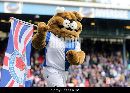 Blackburn, Großbritannien. September 2024. Das Maskottchen der Blackburn Rovers. EFL Skybet Championship Match, Blackburn Rovers gegen Bristol City im Ewood Park in Blackburn, Lancashire am Samstag, den 14. September 2024. Dieses Bild darf nur für redaktionelle Zwecke verwendet werden. Nur redaktionelle Verwendung.PIC von Chris Stading/Andrew Orchard Sportfotografie/Alamy Live News Credit: Andrew Orchard Sportfotografie/Alamy Live News Stockfoto