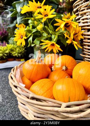 Vertikale Aufnahme von Kürbissen in einen Korb mit Sonnenblumen im Hintergrund mit freiem Platz. Stockfoto