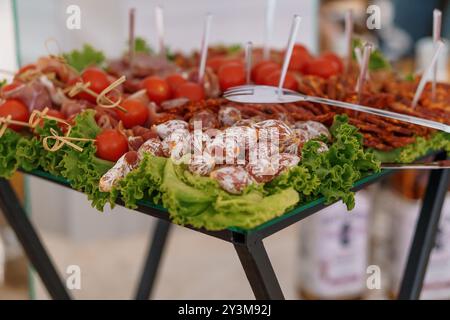 Exquisite Gourmet-Charcuterie-Platte mit frischem Gemüse und Wurstwaren auf einem Bett mit üppigem Salat. Stockfoto