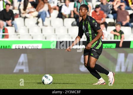 Brügge, Belgien. September 2024. Ein Fußballspiel zwischen Cercle Brugge KSV und KRC Genk Samstag, den 14. September 2024 in Brügge, am 7. Tag der Saison 2024-2025 der ersten Liga der "Jupiler Pro League" der belgischen Meisterschaft. BELGA FOTO JILL DELSAUX Credit: Belga News Agency/Alamy Live News Stockfoto