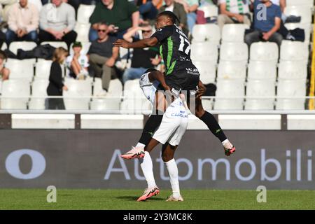 Brügge, Belgien. September 2024. Ein Fußballspiel zwischen Cercle Brugge KSV und KRC Genk Samstag, den 14. September 2024 in Brügge, am 7. Tag der Saison 2024-2025 der ersten Liga der "Jupiler Pro League" der belgischen Meisterschaft. BELGA FOTO JILL DELSAUX Credit: Belga News Agency/Alamy Live News Stockfoto