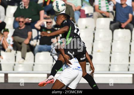 Brügge, Belgien. September 2024. Ein Fußballspiel zwischen Cercle Brugge KSV und KRC Genk Samstag, den 14. September 2024 in Brügge, am 7. Tag der Saison 2024-2025 der ersten Liga der "Jupiler Pro League" der belgischen Meisterschaft. BELGA FOTO JILL DELSAUX Credit: Belga News Agency/Alamy Live News Stockfoto