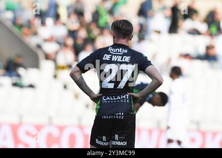 Brügge, Belgien. September 2024. Ein Fußballspiel zwischen Cercle Brugge KSV und KRC Genk Samstag, den 14. September 2024 in Brügge, am 7. Tag der Saison 2024-2025 der ersten Liga der "Jupiler Pro League" der belgischen Meisterschaft. BELGA FOTO JILL DELSAUX Credit: Belga News Agency/Alamy Live News Stockfoto