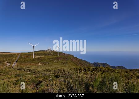 Windturbinen auf dem Hochplateu Paul da Serra auf Madeira, Portugal. Stockfoto